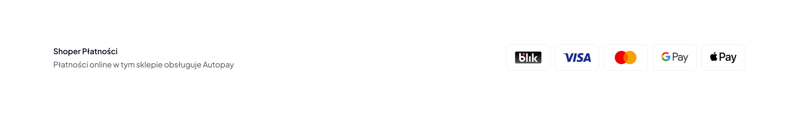 Metody płatności w sklepie – otwiera się w nowej karcie